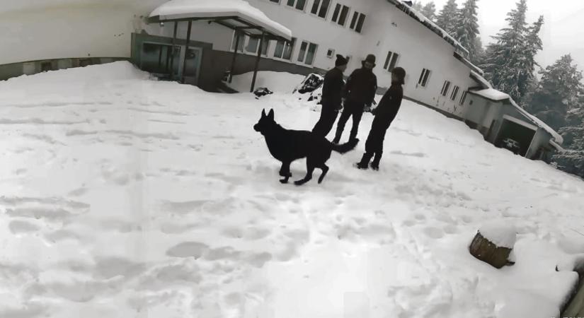 Titokzatos, hat halálos áldozattal járó ügy tartja lázban Bulgáriát