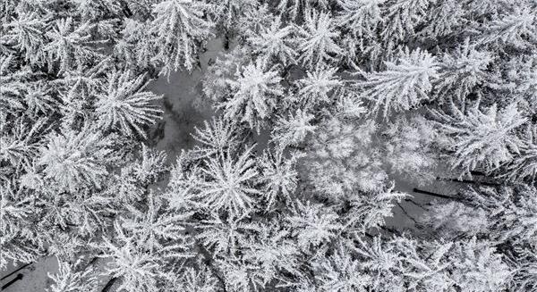 Mutatjuk, hol fog ma havazni – itt készülj!