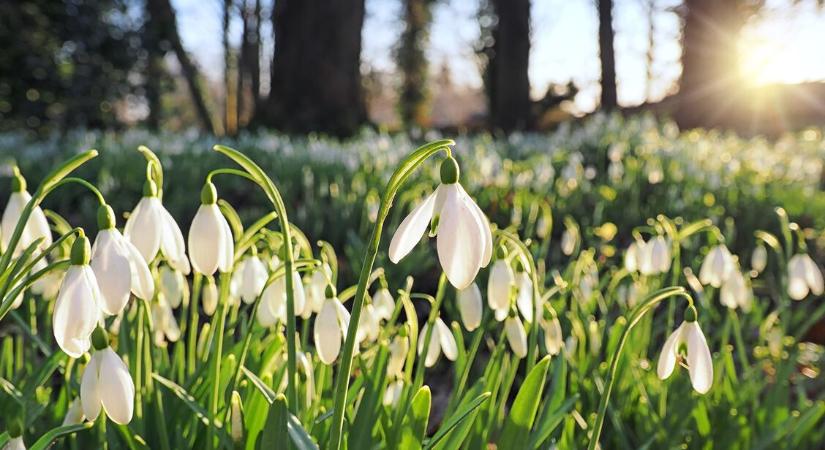 Orvosmeteorológia: havazás és 15 fok – megviselhet a kétévszakos csütörtök