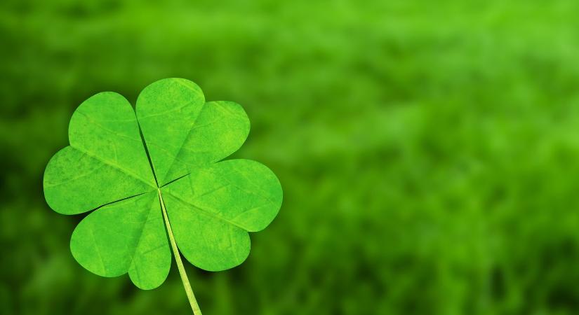 Szerencsejáték kvíz: 10 kérdés, amire esélyed sincs 10/10 pontot szerezni