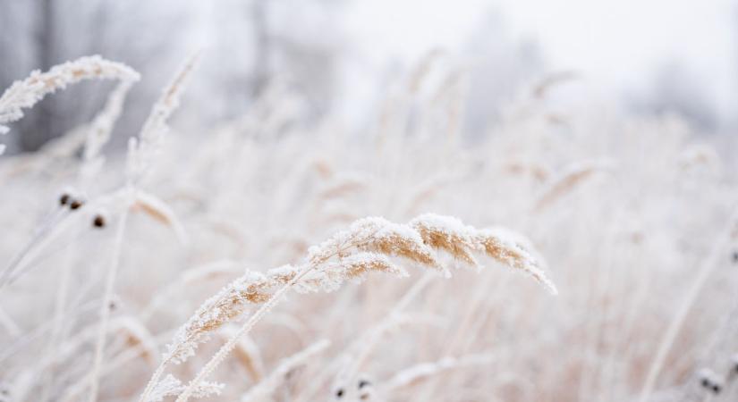 Mikor jön a tavasz? – A Zsuzsanna napi népi megfigyelés elárulja!