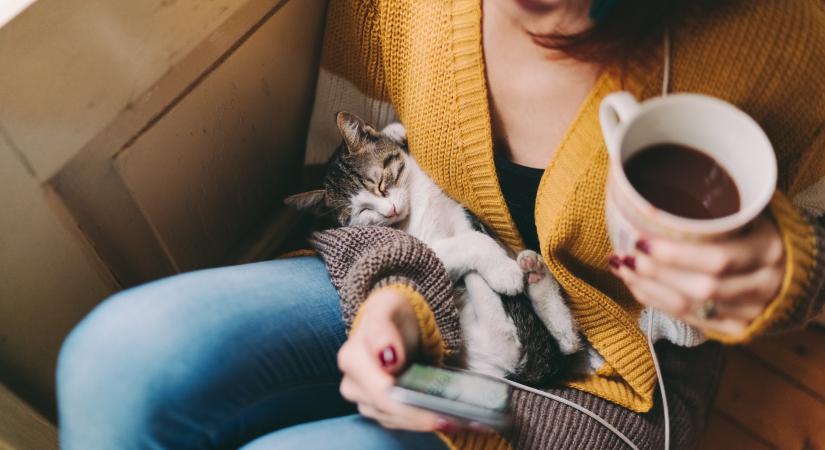 Kávézz cicákkal szombaton a Rex Állatszigeten