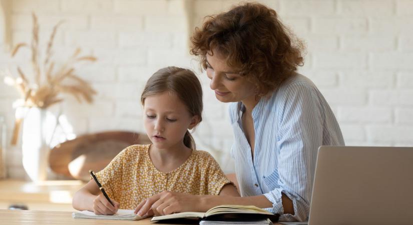 A magántanár ma már nem extra hóbort, de mélyen a zsebbe kell nyúlni