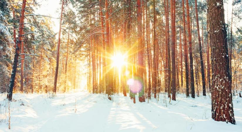 Több mint öt hónapja pirosban a bitcoin: az elemző szerint itt a fordulat