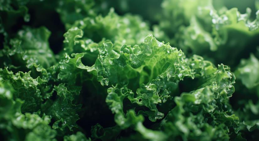 Szezonális zöldségek, friss tippek a tél végére