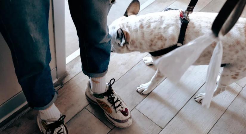 Bekopogott az idős nőhöz Zsolt a Párkány utcában: majd bicskanyitogató dolgot tett