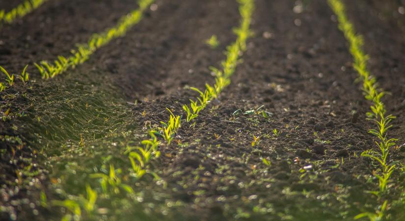 A tudatos talajgazdálkodás a jövő záloga