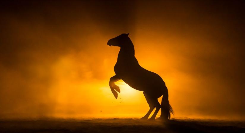 Rád is sorsfordító év vár? Ezek a csillagjegyek tarolnak a Tűz Ló energiájának köszönhetően