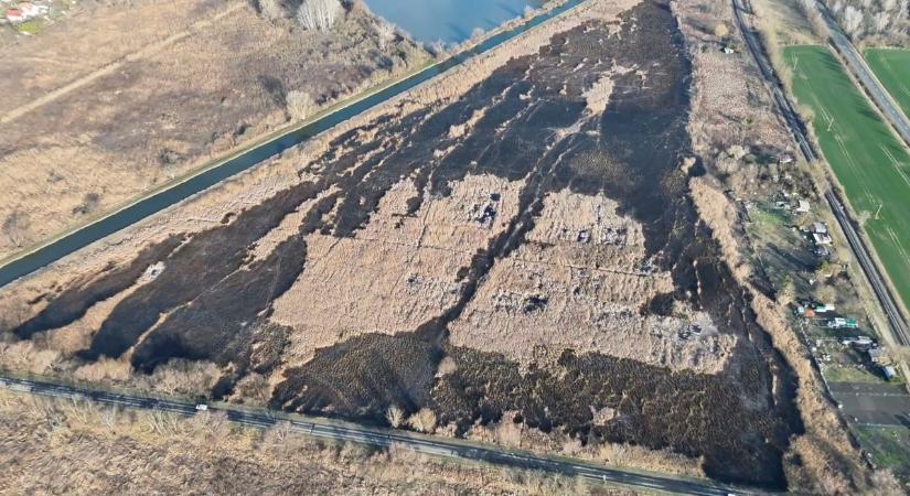Drónról látszik igazán a pusztítás a Balatonnál, feketévé égett a fonyódi nádas
