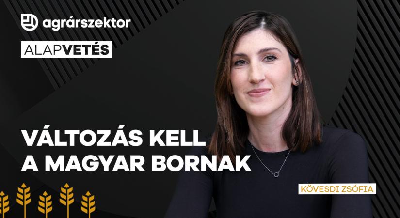 Változás kell a magyar bornak: kérdés, lesz-e aki megveszi 10 év múlva