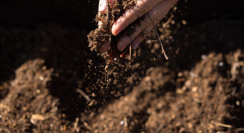 Bukhatja a termést az a gazda, aki nem lép? Ezen múlhat most minden