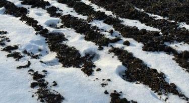Esik, mégis szomjazik a föld: hová tűnik a víz?