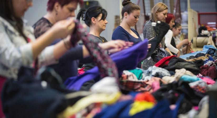 Kincsre bukkantak egy debreceni turkálóban! Alig hitt a szerencséjének a vásárló – fotóval