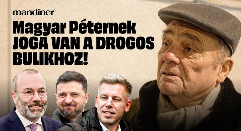„Magyar Péter drogozott? Az nagyon jó!” – DROGPÁRTI tiszások Magyar Péter országjárásán (VIDEÓ)