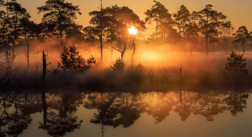 Emberméretű ragadozót kaptak el a magyar tónál, brutális küzdelem zajlott az elfogásáért