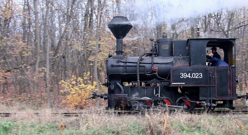 Télűző Pacsirta-vonatozásra indulhatunk a Zsuzsi gőzössel