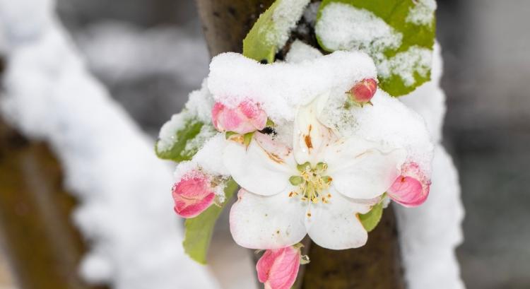 Jön a klímasokk: egyszerre csap le aszály és vihar!