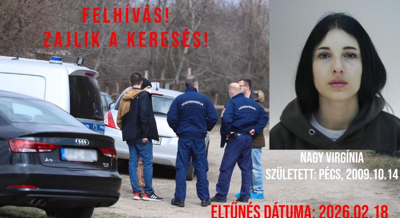 Nagykátán tűnt el a pécsi tinédzser – azonnali keresés indult (FOTÓ)