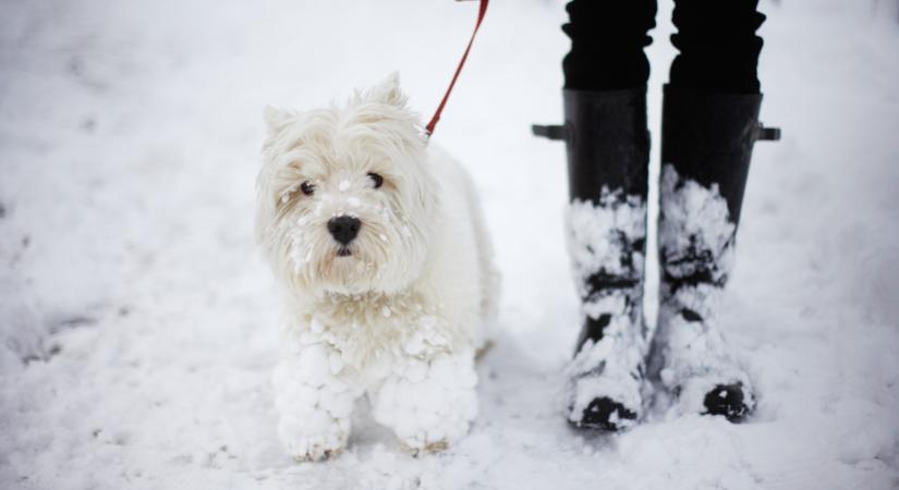 Visszatért a hó Magyarországra: itt már kifehéredett minden