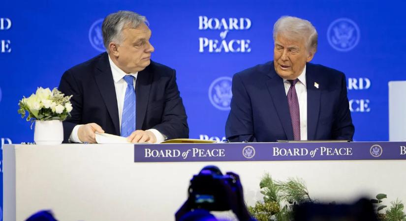 Legyen olyan szervezet is, ami a békével foglalkozik