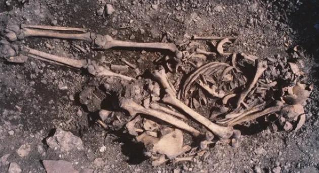Meglepő rokoni kapcsolatokat tárt fel egy 5500 éves svédországi kőkorszaki temető DNS-vizsgálata