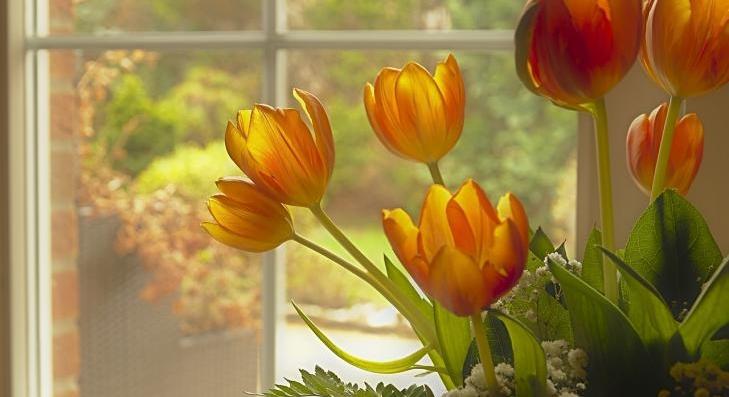 Nőnapi köszöntés Vámosgyörkön 