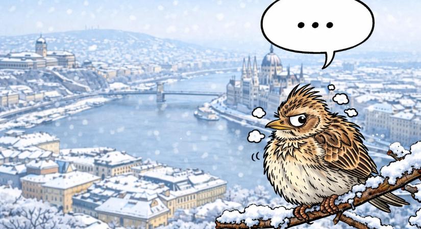 Megszólal-e a pacsirta 30 centi hóban? – ma derül ki, mennyire van közel a tavasz