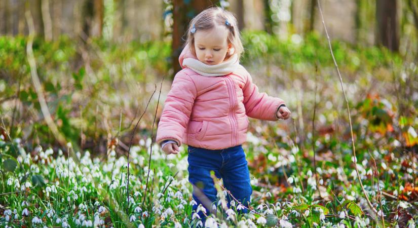 Tényleg csak 10 nap maradt a télből? Mutatjuk, mikor érkezik az igazi tavasz 2026-ban