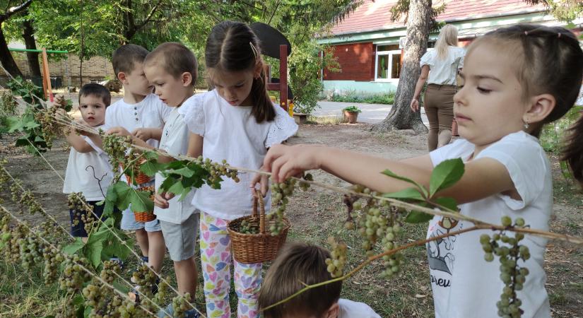 Négy pályázaton is nyert a vásárhelyi Klímanócska program