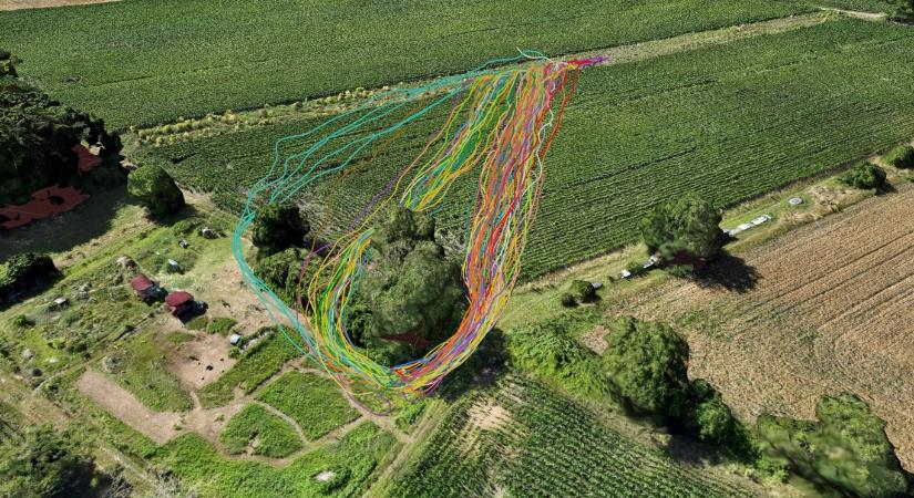 Feltárták a méhek elképesztően pontos tájékozódási képességének titkait
