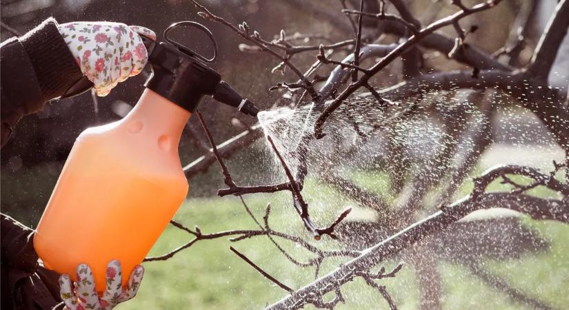 Itt a téli lemosó permetezés ideje: ezek a legfontosabb tudnivalók