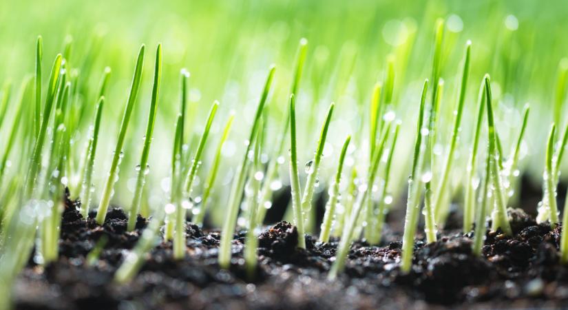 Óriási csavar az időjárásban: rég nem látott meleg köszönt be itthon