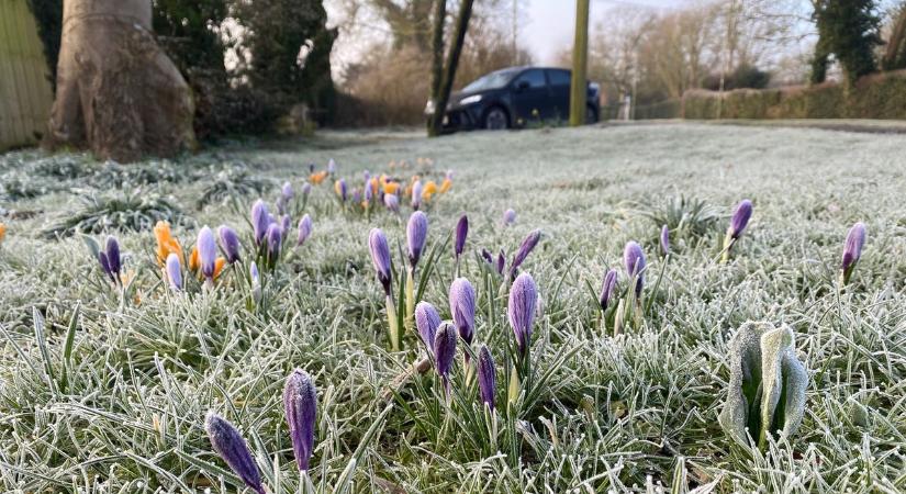 Szegedi időjárás: Mit hoz a holnap? Fagy, felhők vagy csapadék?