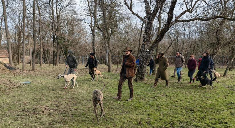Az agarak megmentése lett az élete – a kedvenceit le is festi