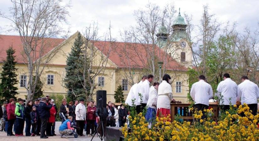 Tulipánfesztivál 2026 Celldömölk