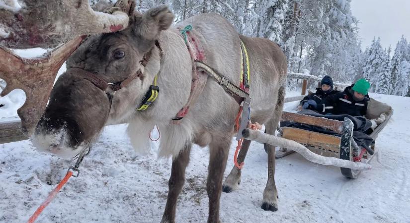 Ilyen egy életre szóló lappföldi utazás gyerekekkel – Interjú Etédi Villővel, miként érdemes lezárni a telet