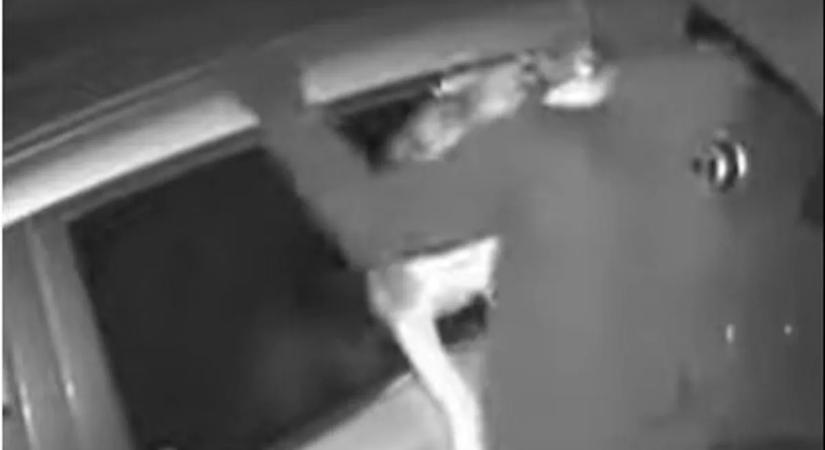 Brutális! Autóban ülő kutya harapta arcon a tolvajt!