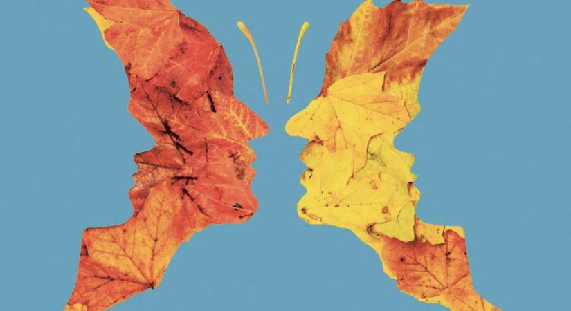 Személyiségteszt: Mit látott meg elsőként? Felfedi, mi a rejtett oldala