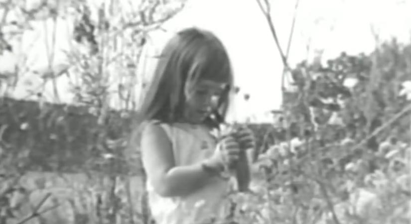 Török Gábor a Fidesz kivégzős videójáról: „Megszületett a magyar Daisy-kampányfilm”