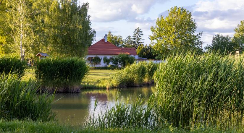 Jelentős változás jön a Rüdiger-tónál: mondjuk, mit újítanak fel