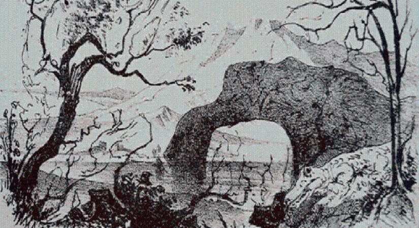 Röntgenszemed van, ha megtalálod az összes állatot a képen