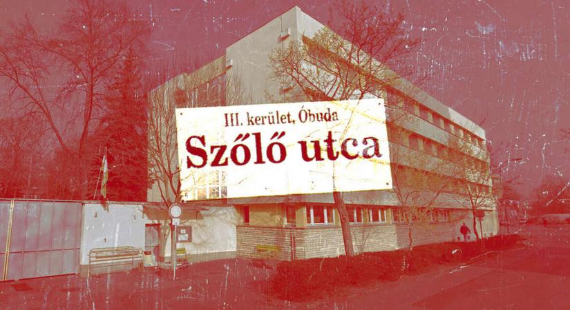 18 éves kora előtt férjhez ment, így lett nagykorú Juhász Péter Pál több pártfogoltja