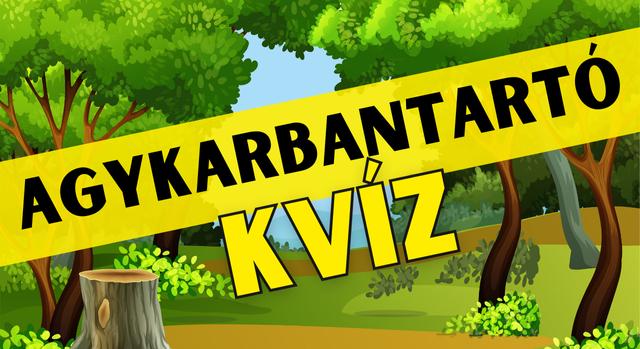 Napi agykarbantartó feladat: Hány őz rejtőzik a képen? A válasz meglepő lesz!