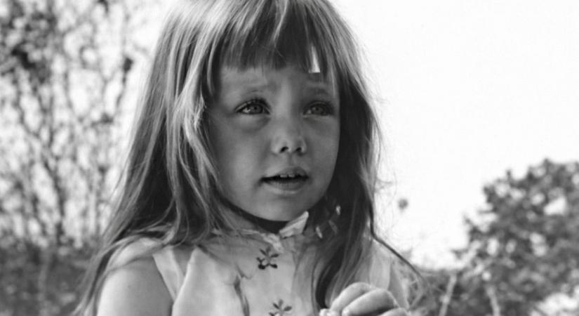 Amerikában bejött: hidegháborús kampányfilm ihlette a Fidesz videóját