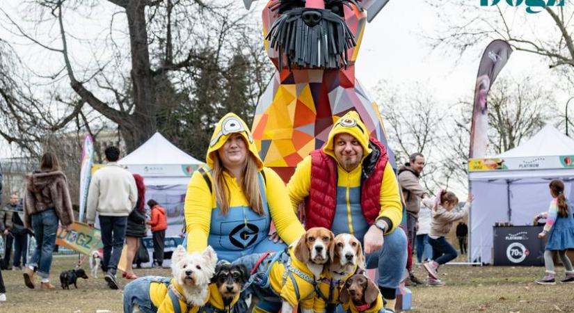 Valami történt a Városligetben: furcsa kutyák lepték el tömegével