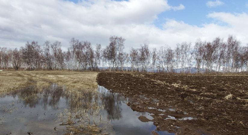 A sok csapadék segíti a talajok feltöltődését