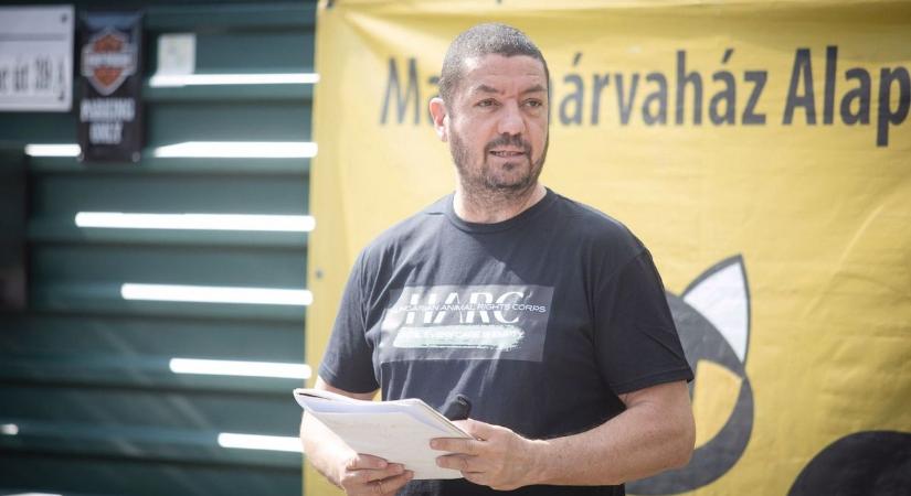 Faültetés, állatvédelmi könyvárverés és versenyautó-kiállítás lesz Kápolnán az erdők világnapján