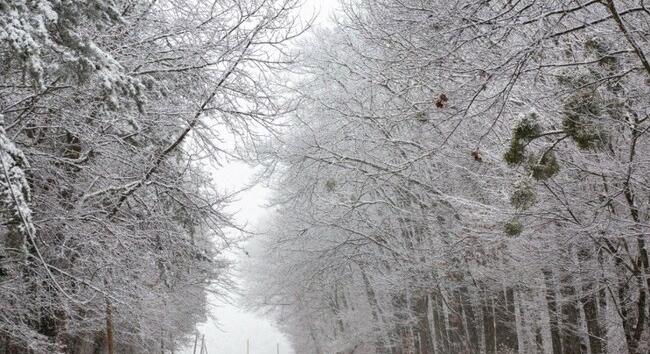 Havazás, hófúvás és mínuszok - Időjárás-előrejelzés a február 20-i hétvégére