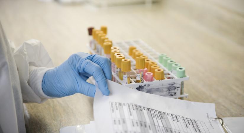 Fehérvérsejtszám a laborleleten: mikor jelez bajt? – Íme a normálértékek