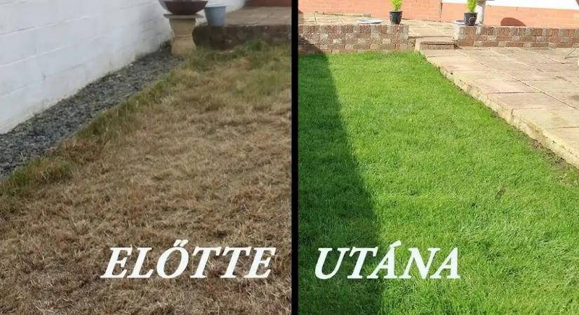 A magyarok nagy hibát követnek el az utolsó fagyok után. A gyep ezért sárgulni kezd, és nyáron már nem lesz olyan sűrű